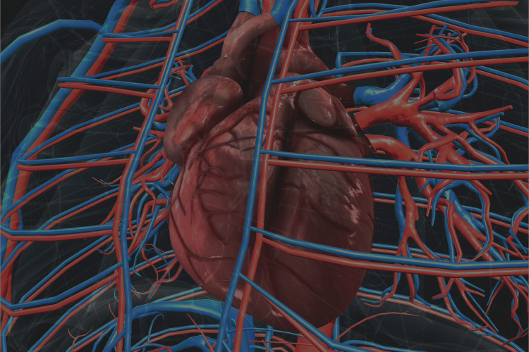 Ateneos 2025 | Síndrome aórtico agudo