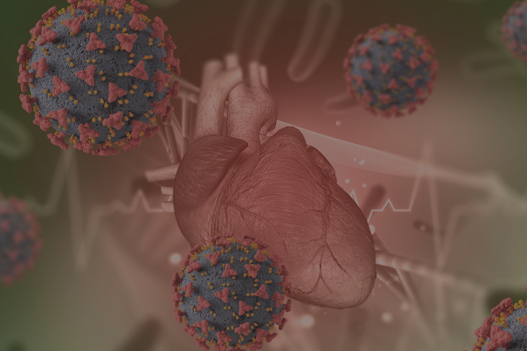 Virus sincicial respiratorio y su impacto a nivel cardiovascular