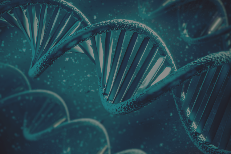 Conceptos básicos de Genética y aplicaciones en Biomedicina parte II