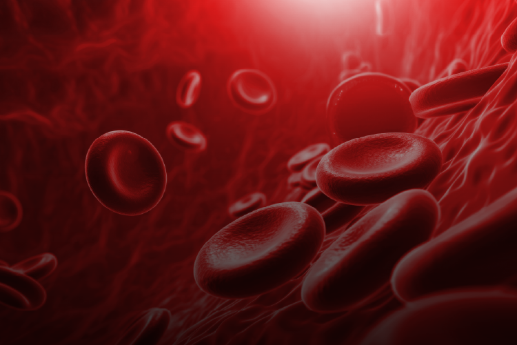 Trombocitopenia y Heparina: Cuando la terapia se vuelve riesgo