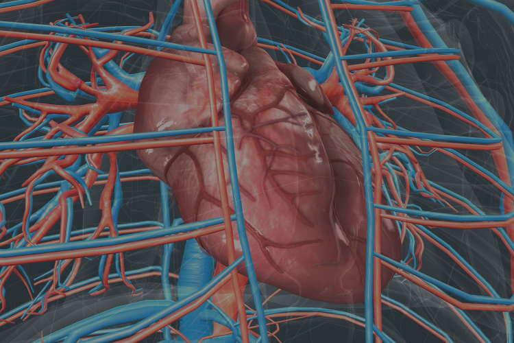 Angioplastia de tronco de la coronaria izquierda