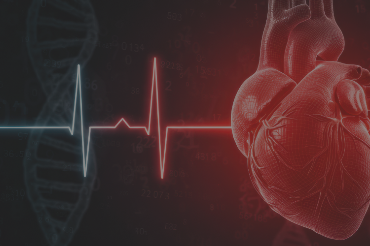 Prescripción del ejercicio físico en población general